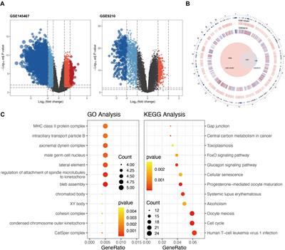 Weighted Correlation Gene Network Analysis Reveals New Potential Mechanisms and Biomarkers in Non-obstructive Azoospermia